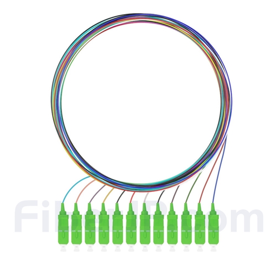1m 12芯 SC/APC シングルモード 色分けピッグテール光ファイバケーブル（ジャケットなし、9/125）の画像